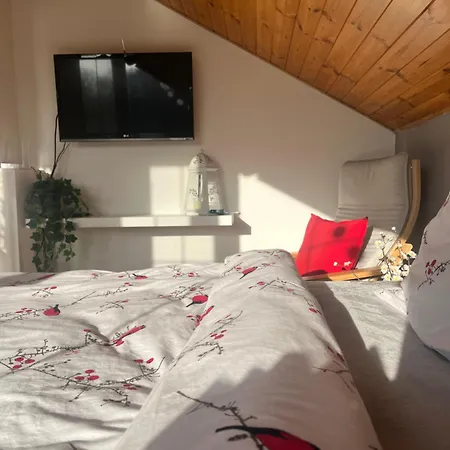 Podkrovni S Balkonem Kwatera prywatna *