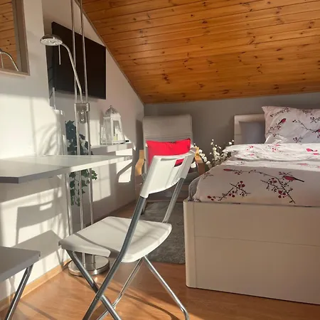 Podkrovni S Balkonem Ostrawa