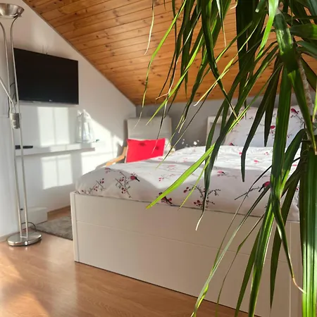 Podkrovni S Balkonem Kwatera prywatna Ostrawa