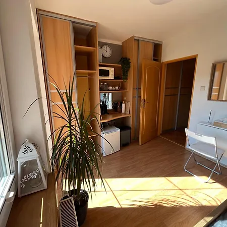 Podkrovni S Balkonem Ostrawa