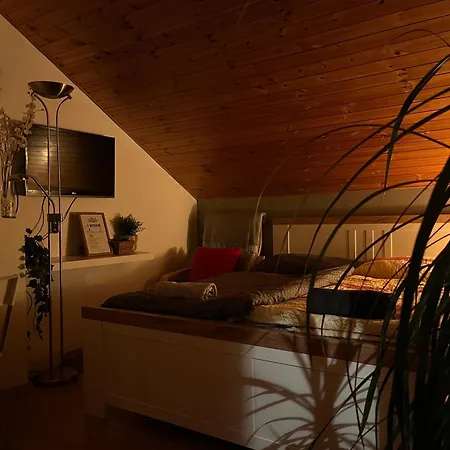 Podkrovni S Balkonem Ostrawa