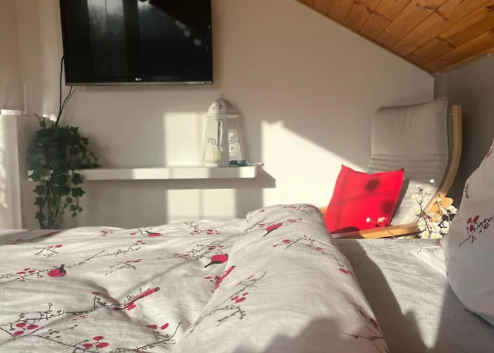 Podkrovni S Balkonem Séjour chez l'habitant *