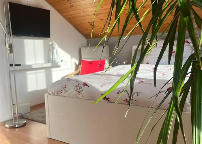 Podkrovni S Balkonem Séjour chez l'habitant Ostrava