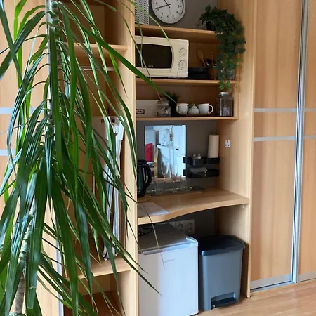 Privat bolig Podkrovni S Balkonem Ostrava